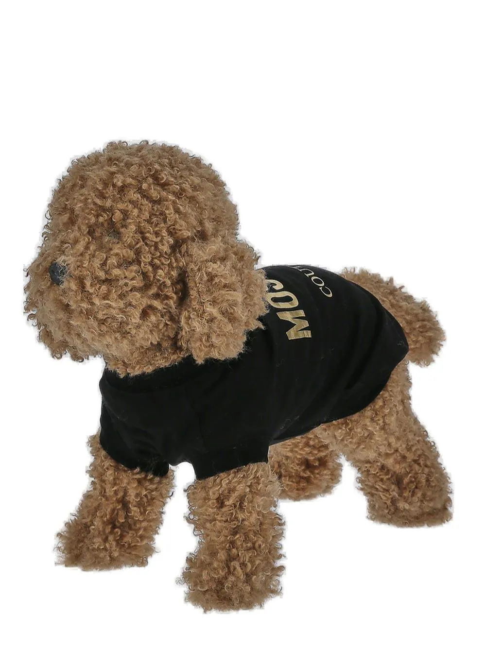 Moschino Logo Printed Jersey Dog T-Shirt